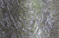 Enborne Row fibreglass roof work